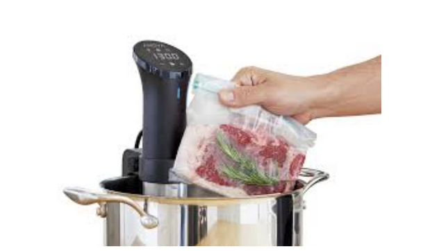 best sous vide circulator