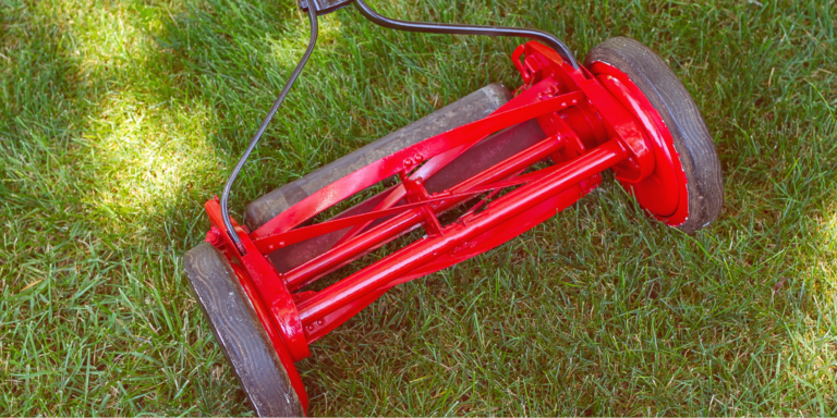 reel mower
