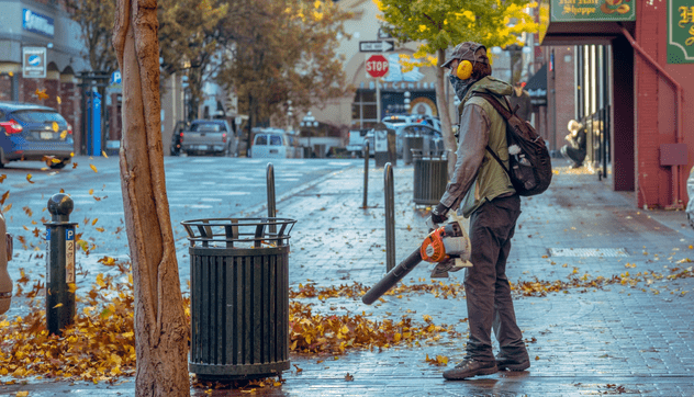Handheld Leaf Blower