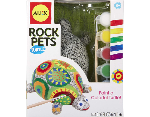 Kids Arts and Crafts Rock Pets