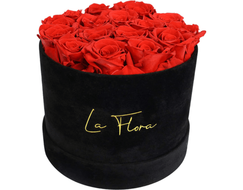 Long Lasting Preserved Roses