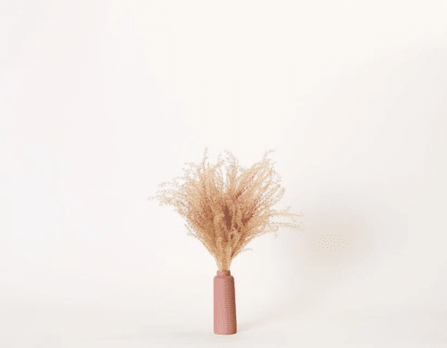 Natural Pampas in Porcelain Vase