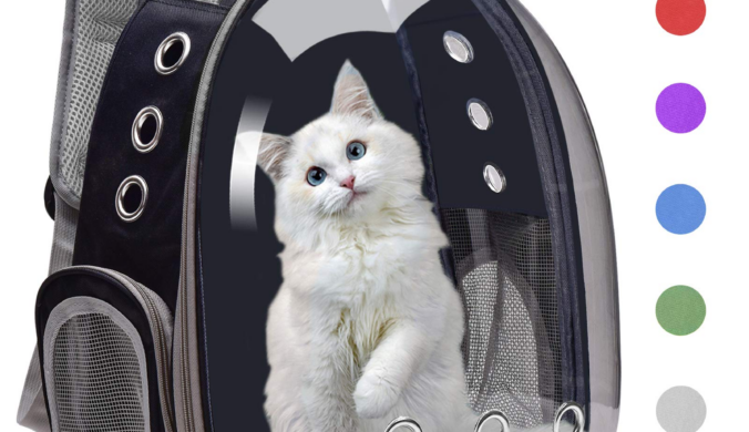 Travel Carrier for Cats and Small Dogs