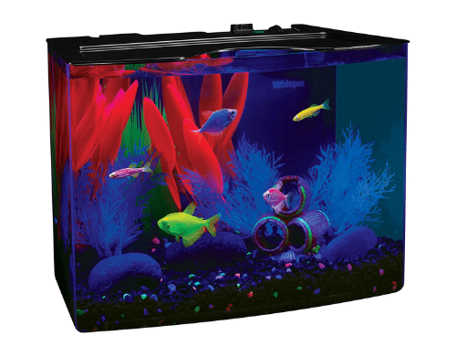 10 Best Filter for 20 Gallon Fish Tank Reviewed 2023, by Best Aquariums