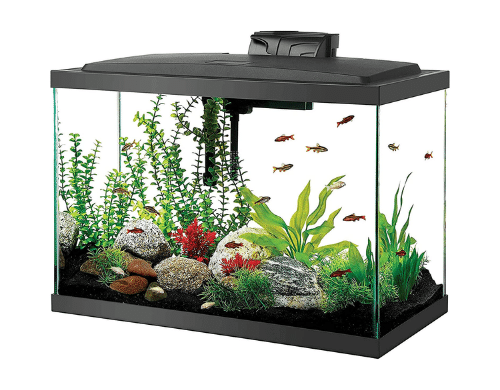 Aquarium kits cheap for sale