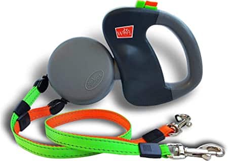 The 11 Best Retractable Dog Leashes for 2023 - PureWow