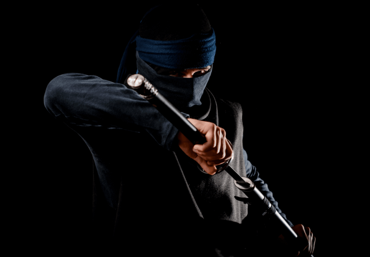 You Can Now Study A Degree In Ninja Studies