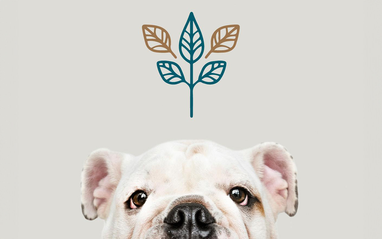 Dylan's Pet Food