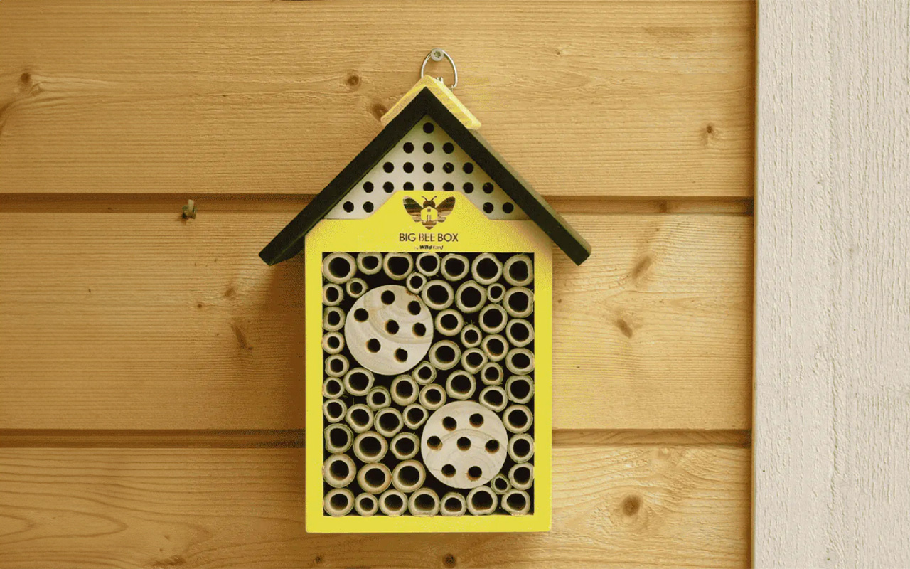 Big Bat Box