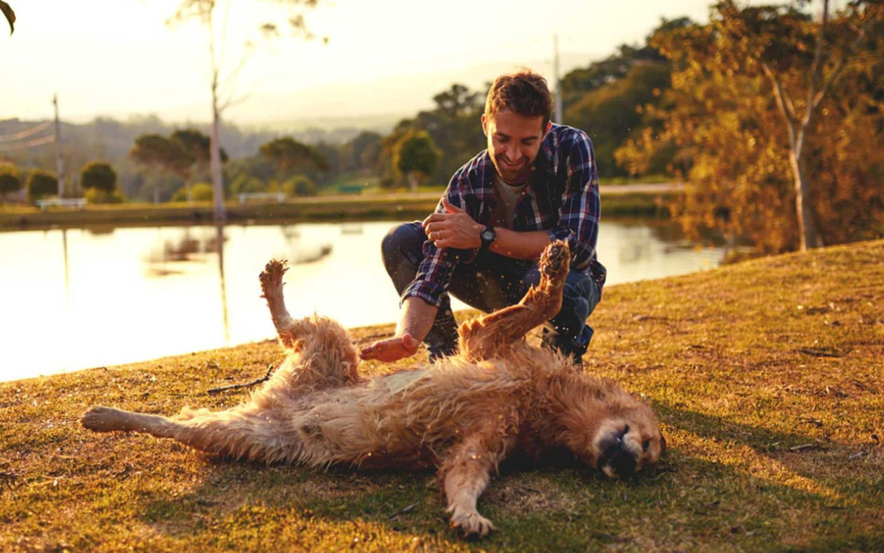 Pet Wellness Direct