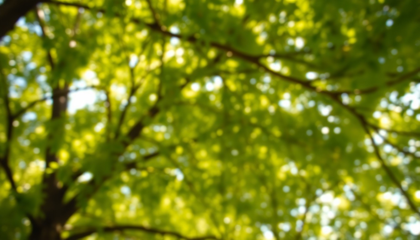 A dreamy, impressionistic photograph of a vibrant green tree canopy with soft, blurred edges and pools of warm, golden light filtering through the leaves, creating a serene, nature-focused atmosphere.