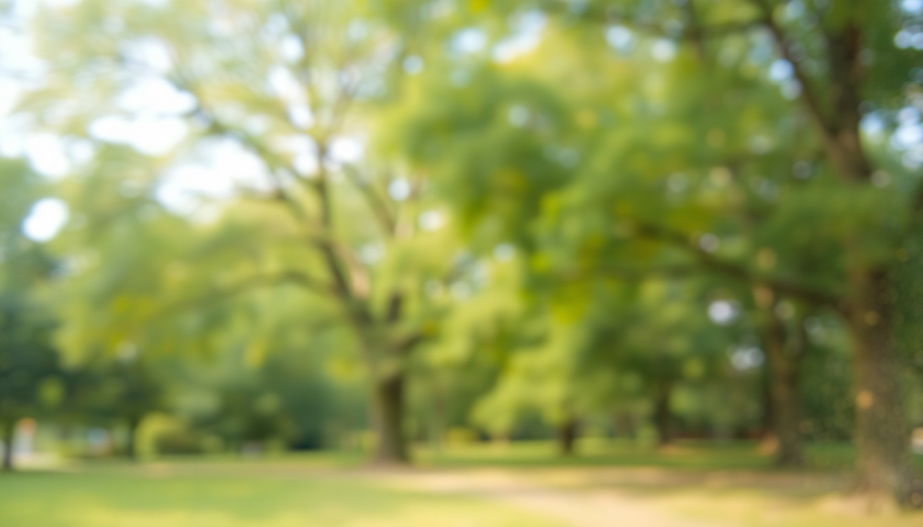 An impressionistic, out-of-focus photograph showing the blurred silhouettes of trees in a park, with soft, warm lighting filtering through the foliage, conceptually representing the celebratory spirit and natural beauty of Sedalia's Arbor Day event.