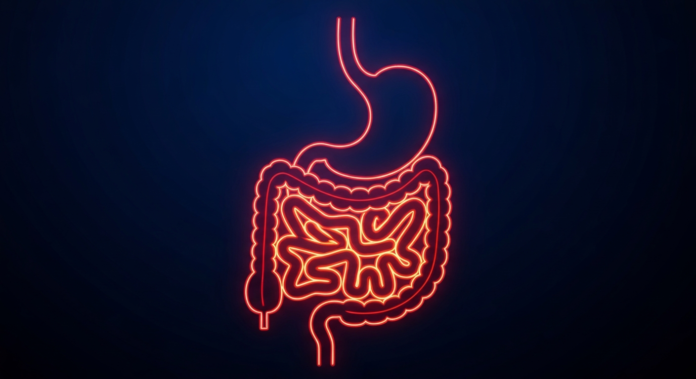 A vibrant, neon-outlined illustration of the human digestive system, with glowing red and orange lines tracing the stomach and intestines against a deep blue background, conceptually representing the new online tool for reporting foodborne illnesses.