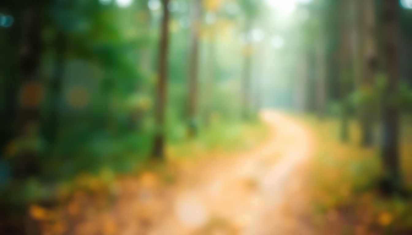 An impressionistic, blurred photograph of a forested trail scene, with soft, warm colors and a dreamlike, atmospheric quality.