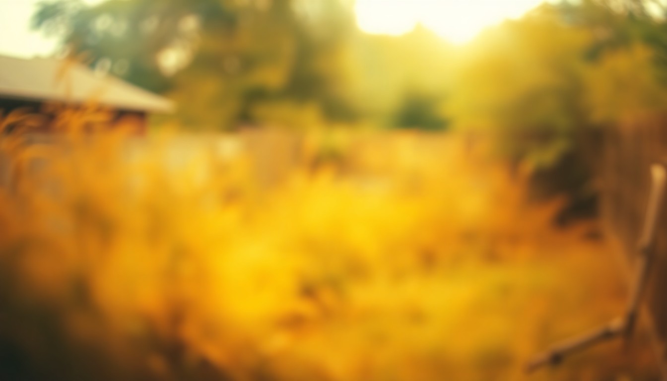 An abstract, impressionistic image of a blurred, overgrown backyard landscape in soft, warm tones, conveying a sense of neglect and disappointment.