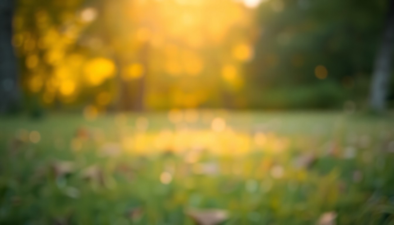 An extremely abstracted, out-of-focus photograph of a serene nature scene in a local park, with soft, warm pools of light and color creating a meditative, atmospheric mood to represent the life and legacy of a renowned journalist.