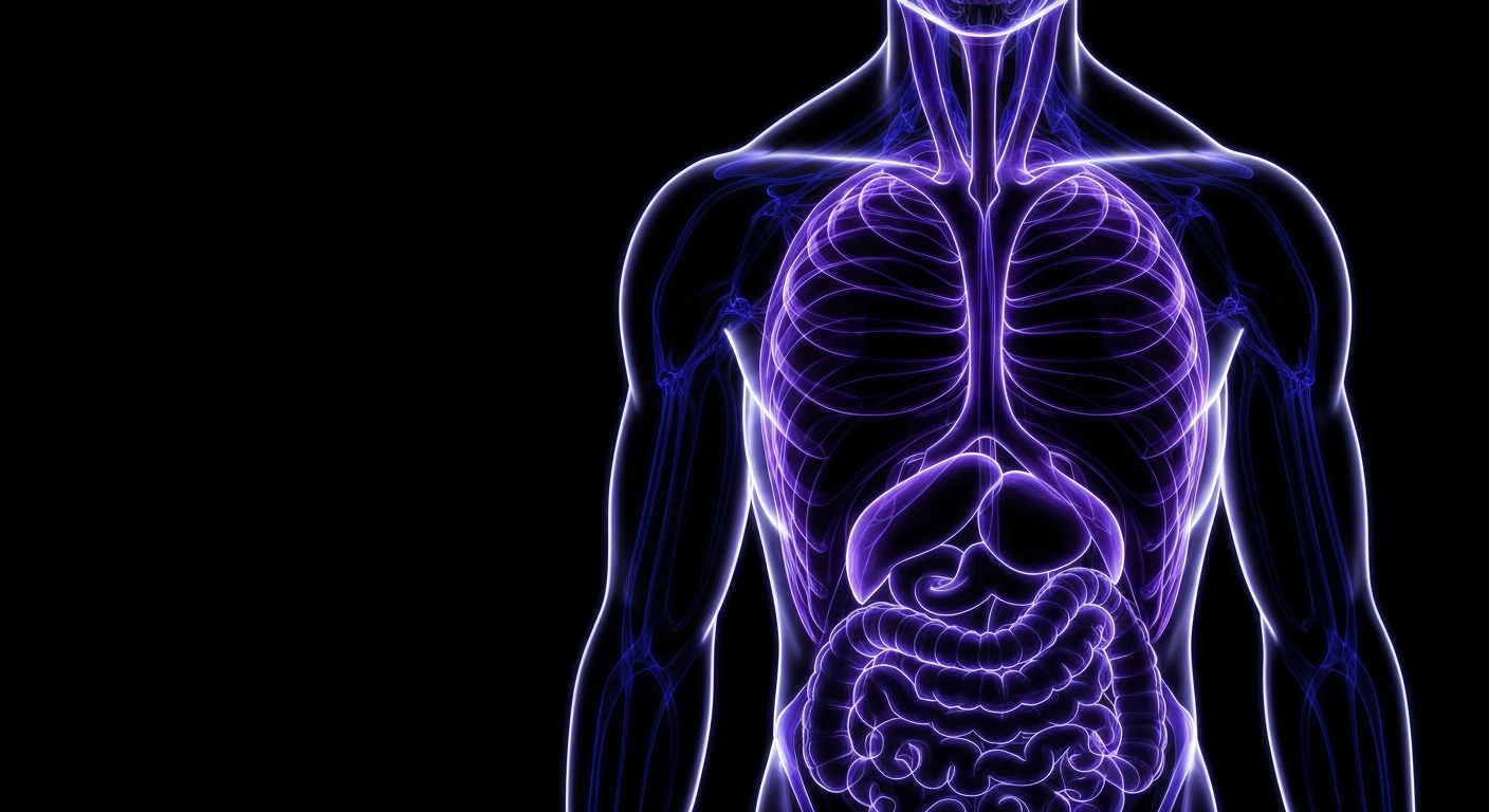 A minimalist neon outline illustration depicting the internal anatomy of a muscular human torso, with glowing blue and violet lines defining the form against a dark background, conceptually representing the health risks of steroid abuse among young people.