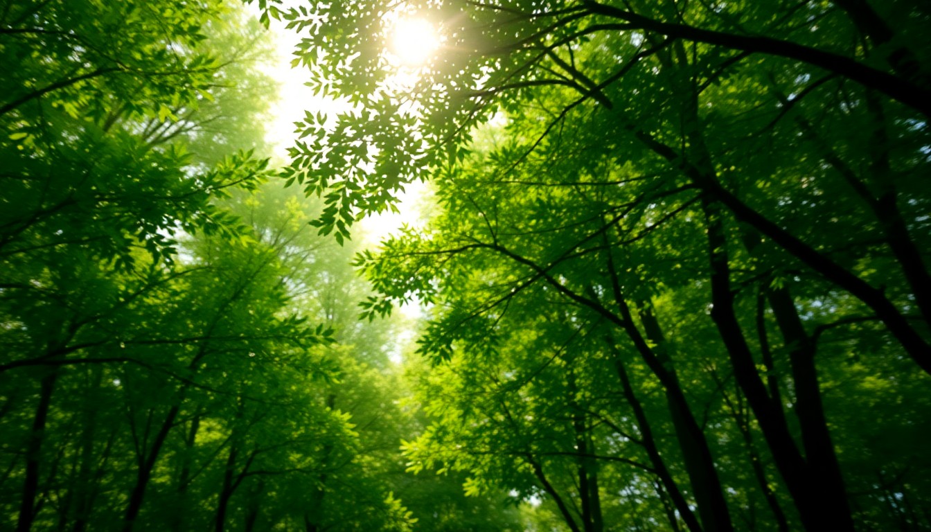 An extremely abstracted, out-of-focus photograph shot through condensation or rain-streaked glass, composed entirely of a softly focused, verdant forest scene with dappled sunlight creating a warm, dreamlike atmosphere.