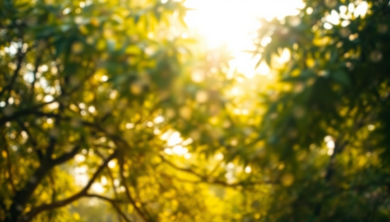 An abstract, impressionistic photograph of blurred, overlapping tree branches and leaves in shades of green, yellow, and gold, conveying a sense of natural beauty and tranquility.