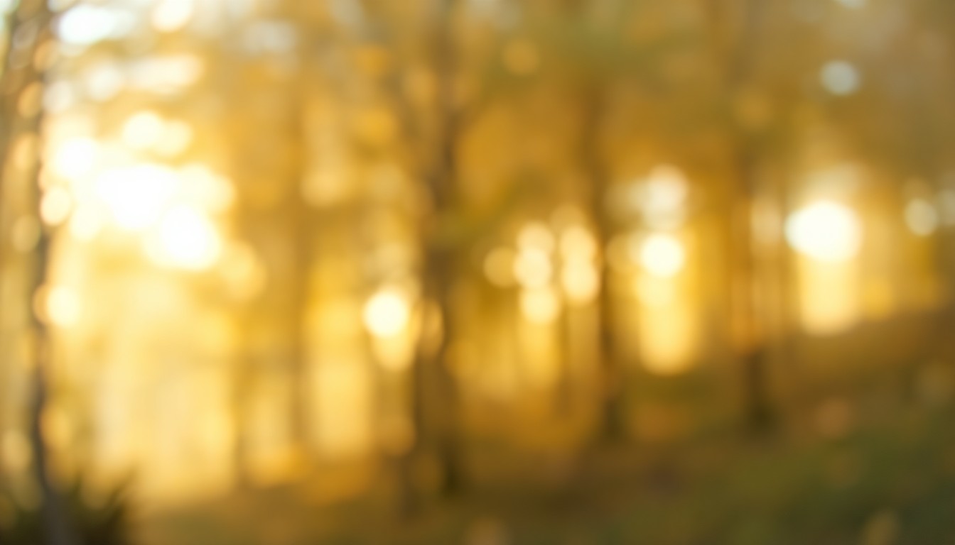 An abstract, impressionistic photograph of a lush, forested landscape captured through a hazy, rain-streaked lens, conveying a sense of the natural beauty and fragility of the area under dispute.
