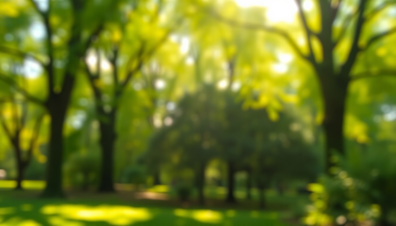 An abstract, impressionistic photograph of a verdant park scene, with soft, blurred edges and pools of warm, golden light, conveying a sense of tranquility and natural beauty.