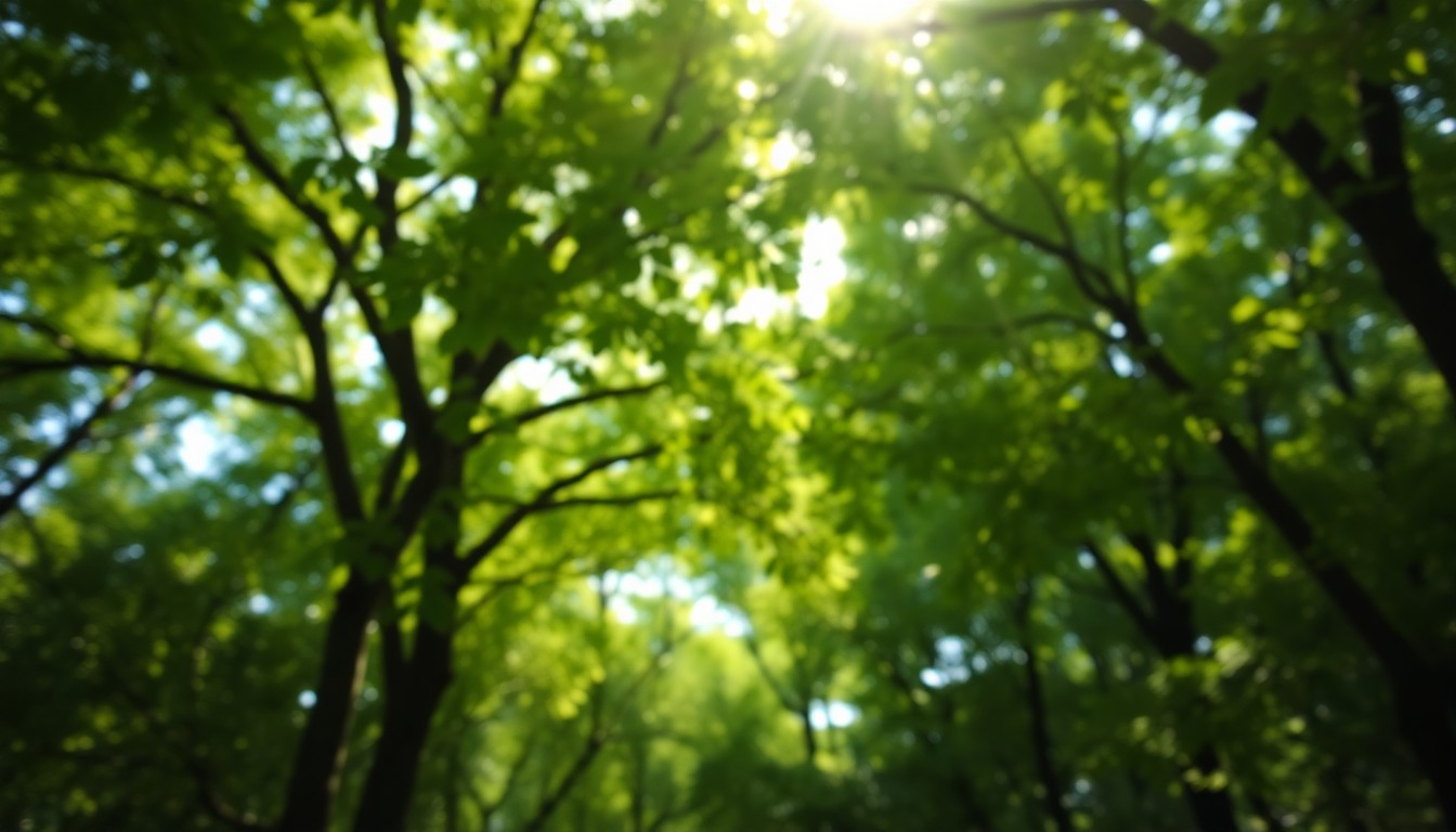 An abstract, out-of-focus photograph of a verdant forest canopy, with soft pools of warm light and color creating a serene, inviting atmosphere.