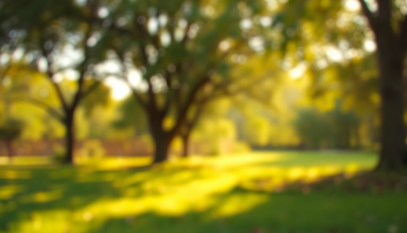A hazy, dreamlike photograph in muted greens, browns, and golds depicting an out-of-focus outdoor scene with blurred trees, grass, and sunlight, conveying a sense of peaceful reflection.