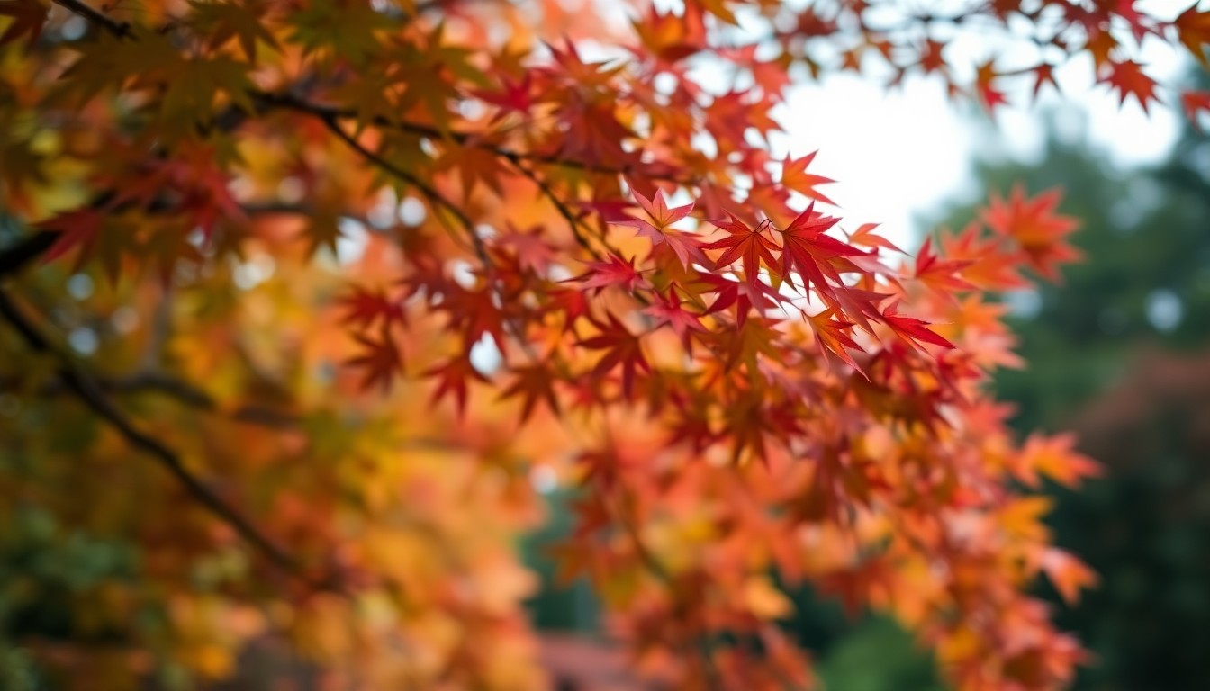 An abstract, impressionistic photograph of a Japanese maple tree in the Atlanta Botanical Garden, with soft, blurred pools of warm light and color creating a dreamlike, atmospheric scene.