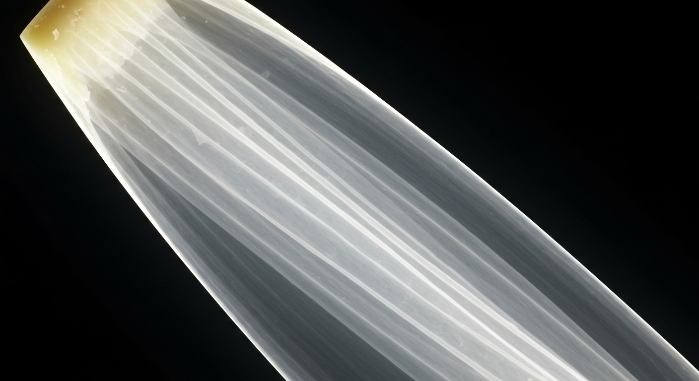 A translucent, ghostly X-ray image showing the intricate internal structure of a wedge of Parmigiano Reggiano cheese, with its dense, crystalline patterns highlighting the cheese's natural protein content.