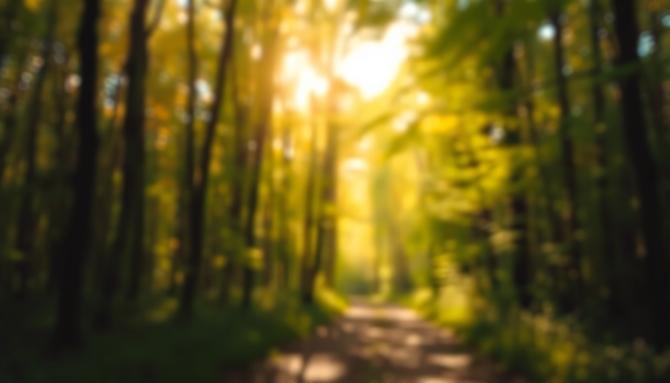 An abstract, impressionistic photograph of a sun-dappled forest path, with soft, blurred pools of warm amber and emerald green light filtering through the trees, conveying the tranquil beauty and natural setting of Charlottesville's urban forest.