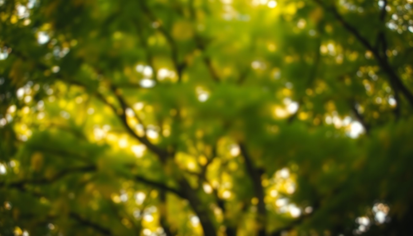 An impressionistic, blurred scene of sunlight filtering through a dense tree canopy, conveying the tranquility and natural wonder of a healthy urban landscape.